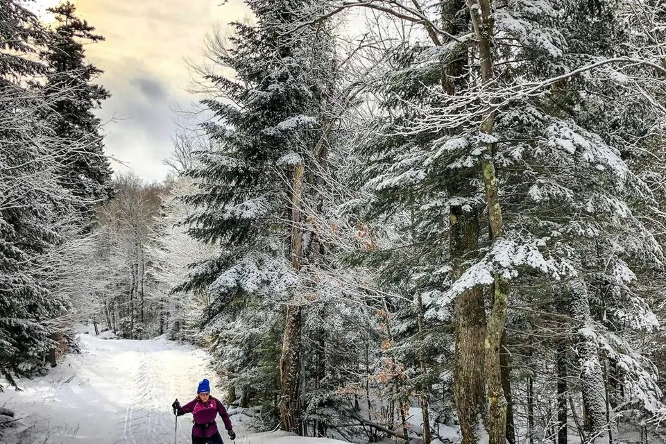 Ski de fond : Initiation au ski de fond dans le Vercors à Villard-de-Lans