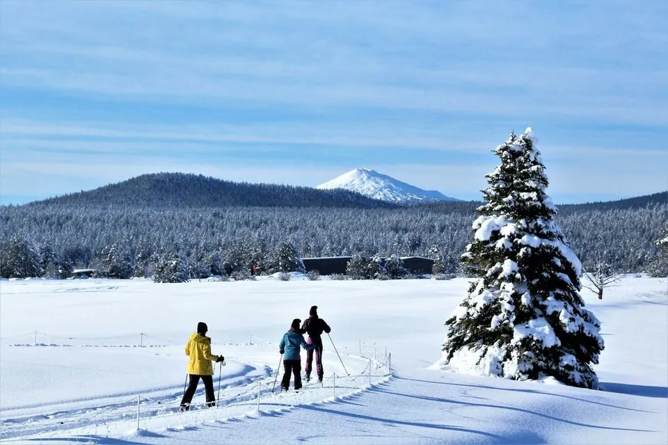 Initiation au ski de fond dans le Vercors – photo 2